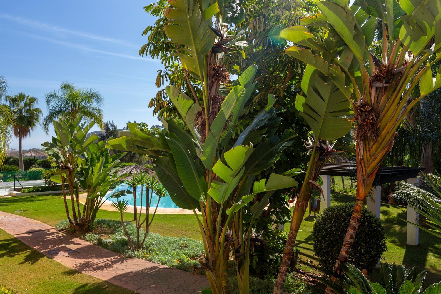 מיחאס Costa Del Sol Calanova Apartment מראה חיצוני תמונה
